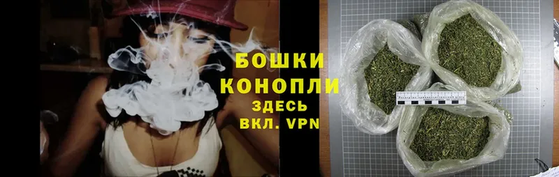 Каннабис SATIVA & INDICA  Гдов 